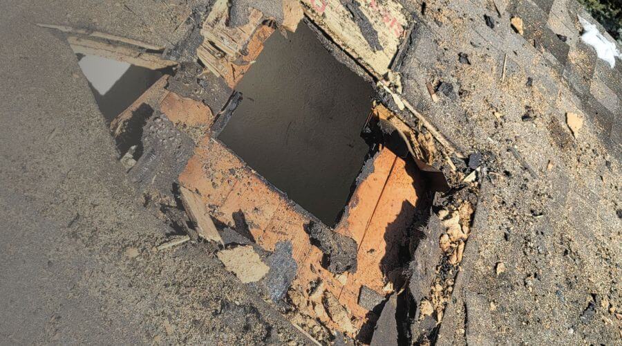 Why choose Randolph Black Mold Removal for black mold removal in Randolph